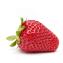 ucd finn strawberry